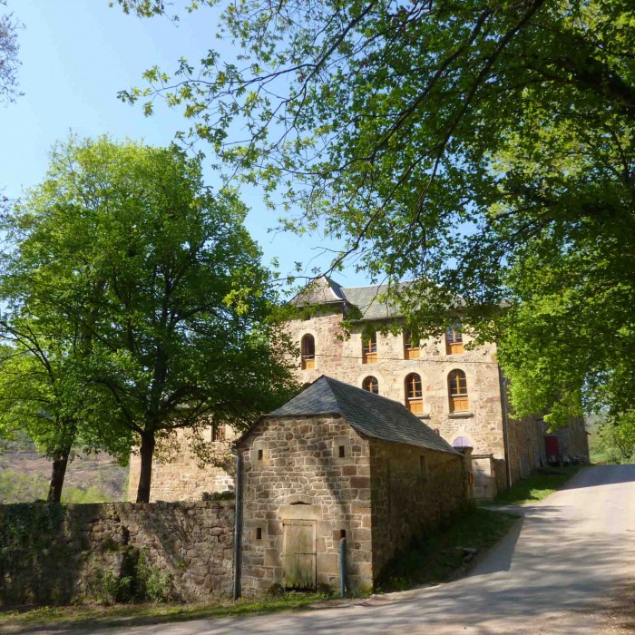 Photo de Château de Salelles