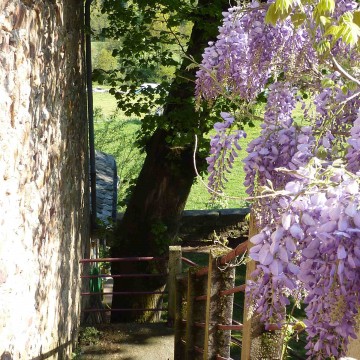Château de Salelles
