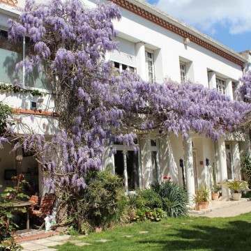 Domaine Saint Nicolas