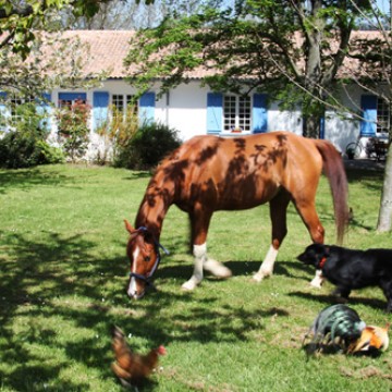La