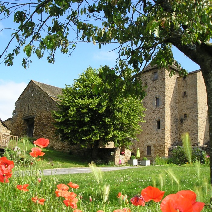 Photo de Château du Cayla