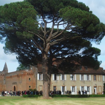 Château