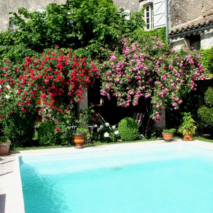 Photo de La Maison dhôtes Chez Delphine