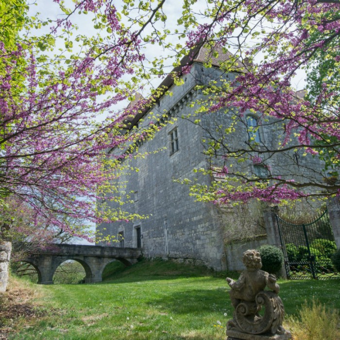 Photo de Château de Goudourville