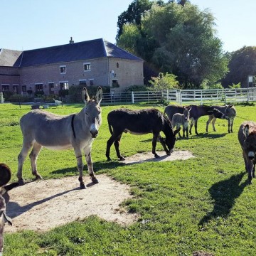 Les