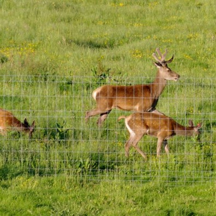 Photo de Gîtes Le Perray