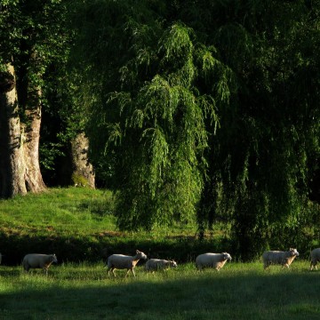 Parc du Château Chateau de la Barre