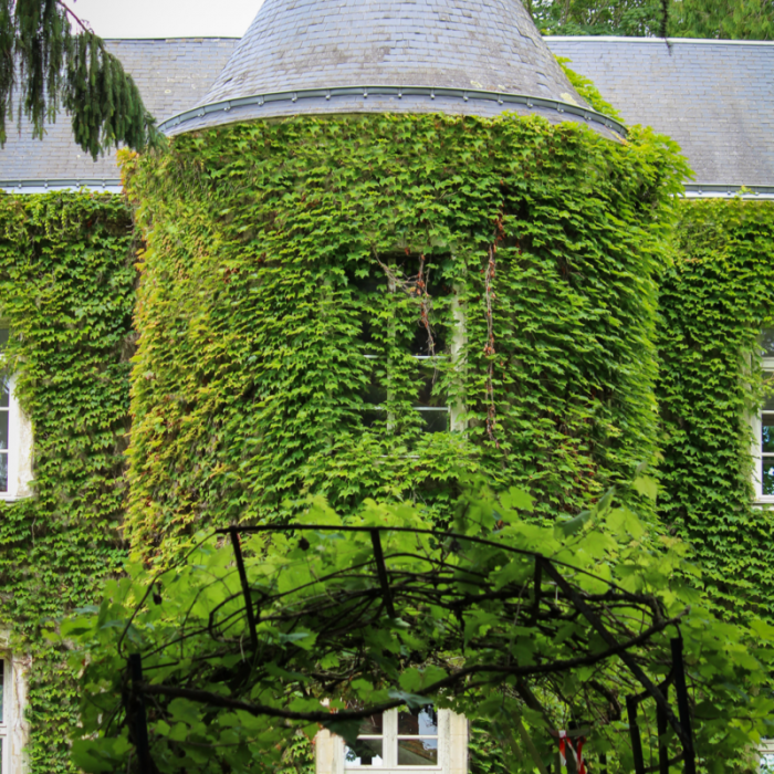 Photo de Château de Montaupin