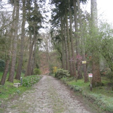 Les Roches Brunes - Chambres dhôtes