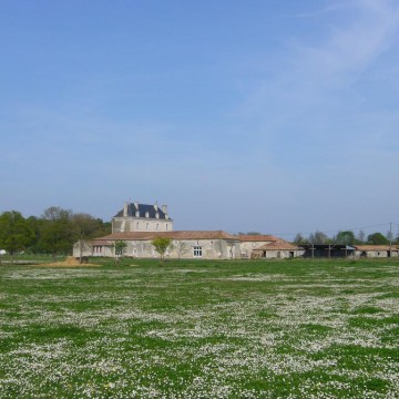 Château