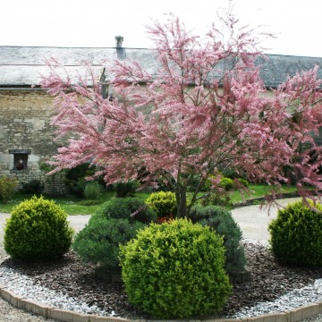 Gîte de la Maricé