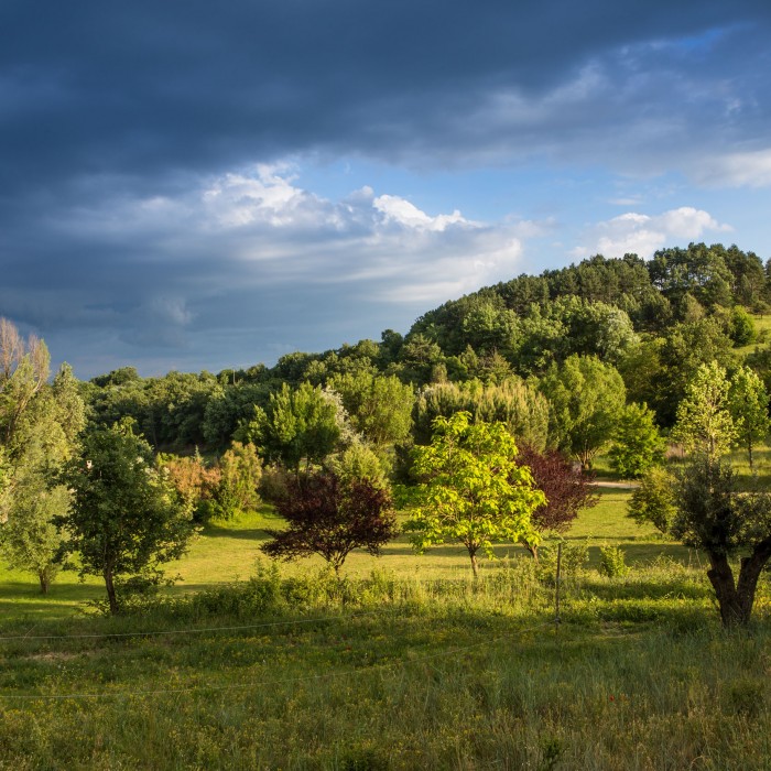 Photo de La Campagne St Lazare à Forcalquier