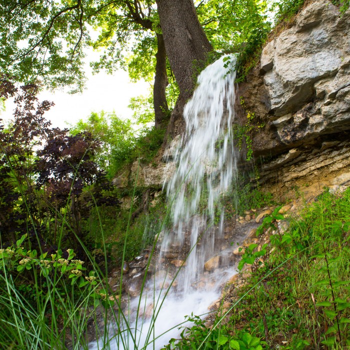 Photo de La Campagne St Lazare à Forcalquier