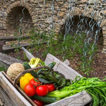 La Campagne St Lazare à Forcalquier
