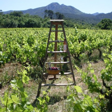 Domaine le Clos du Pavillon