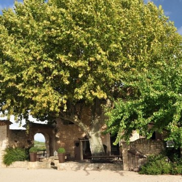 Mas