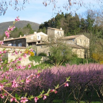Domaine des Fougères