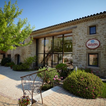 Valsoyo