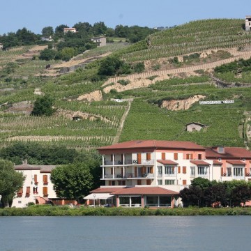 Hôtellerie