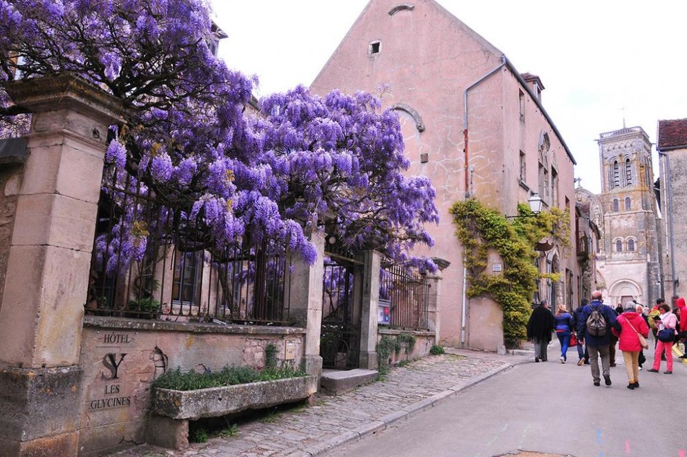 Photo de Sy les glycines