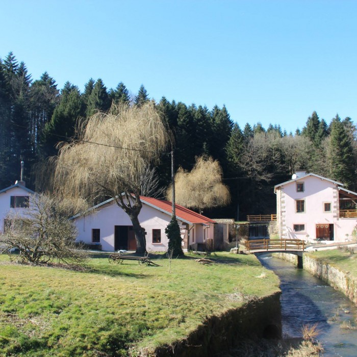 Photo de Gîte de la Reine de leau