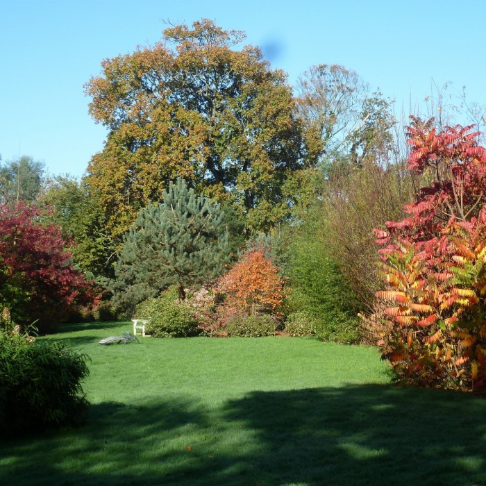 Photo de Manoir de Savigny