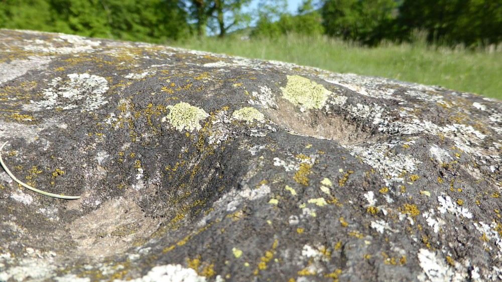 2 cupules du bloc cupulaire de La Guettaz. (Crédit photo : Sémhur sur Wikipédia)