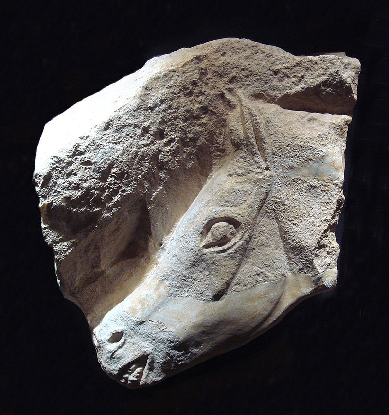 Musée d'Archéologie nationale de Saint-Germain-en-Laye : Tête de cheval du Magdalénien à Angles-sur-l'Anglin dans la Vienne (Crédit photo : World Imaging sur Wikipédia)
